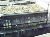 image of grave number 372402